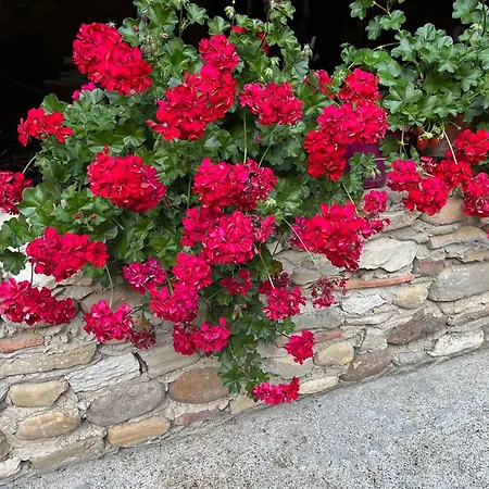 Bed & Breakfast D'hotes Domaine Cherps Ou Piscine Viellesegure